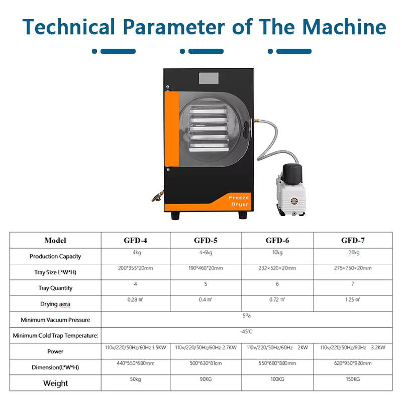 20Kg Automatic Gear Freeze Mac - مراجعة Food With Snacks وسعره