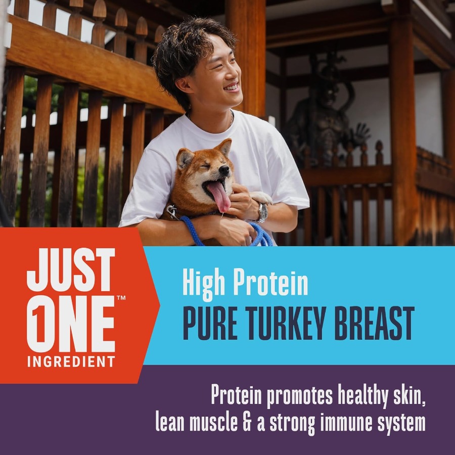 Whole Life Dog Just One Turkey - مراجعة Food Snacks With High Protein وسعره